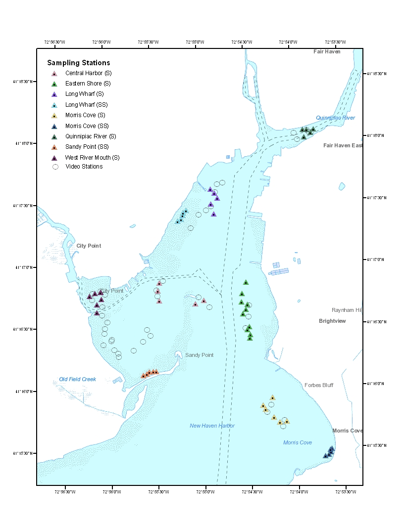 Map of New Haven Harbour showing colour-coded benthic sampling stations