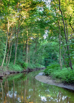 IMPROVING RIVER HEALTH